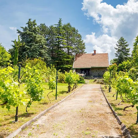 Prázdninový dům Romantica By Interhome *